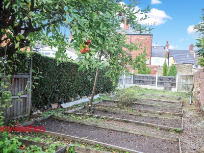 Picture 19